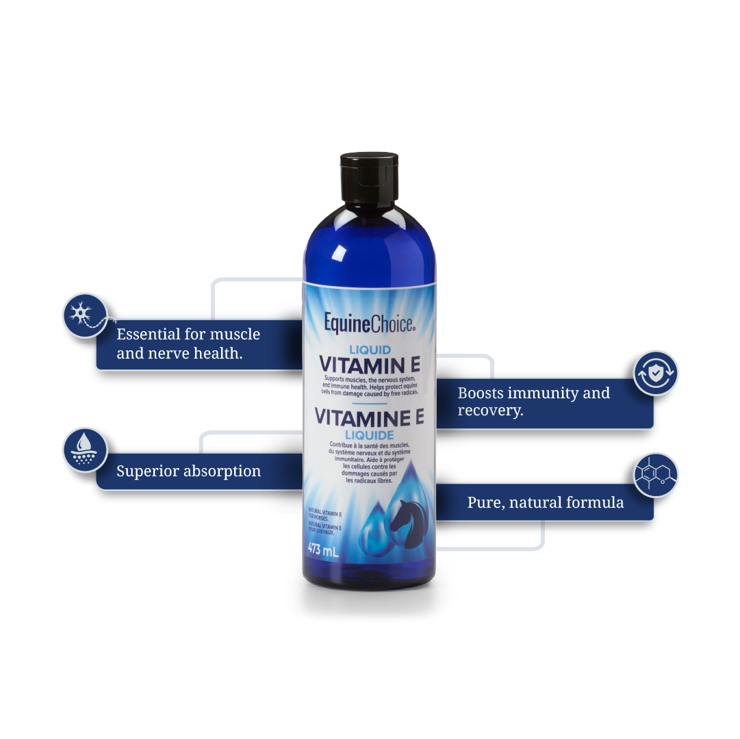 Equine Choice Liquid Vitamin E: Muscle, Nerve, and Immune Support Supplement Equine Choice Liquid Vitamin E: Muscle, Nerve, and Immune Support Supplement